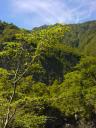 Wer den chilenischen Wald nicht kennt, kennt unseren Planeten nicht.